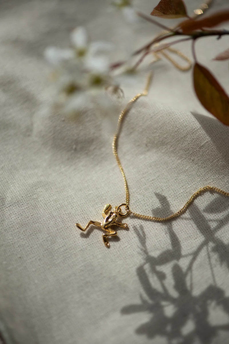 Grenouille | Gold vermeil necklace
