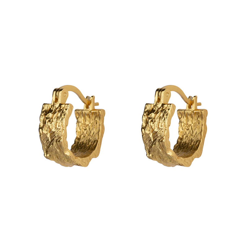 Melody day gold earrings.