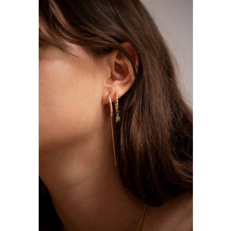 Levi gold earrings