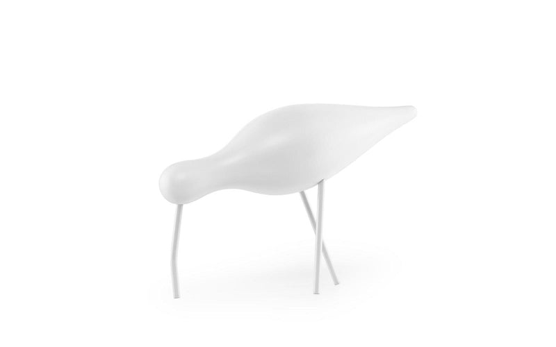 Shorebird, White | Medium or Large