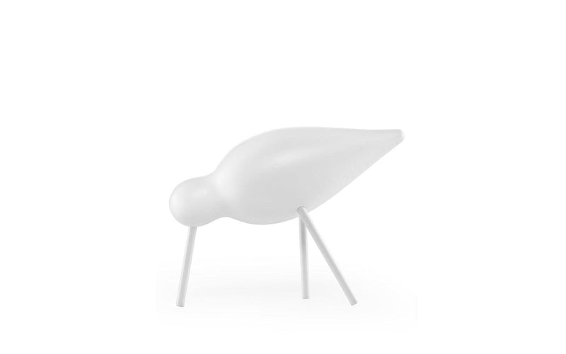 Shorebird, White | Medium or Large